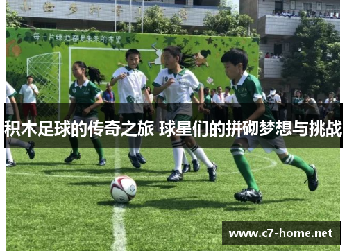 积木足球的传奇之旅 球星们的拼砌梦想与挑战